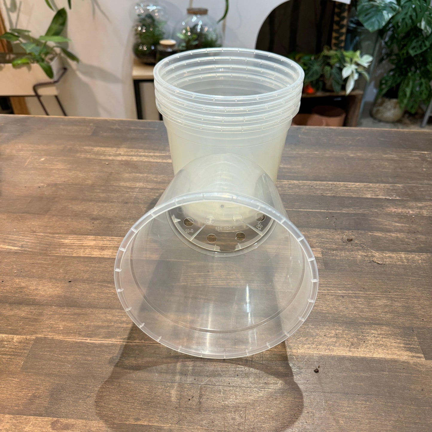 Pot plastique transparent (4 tailles)