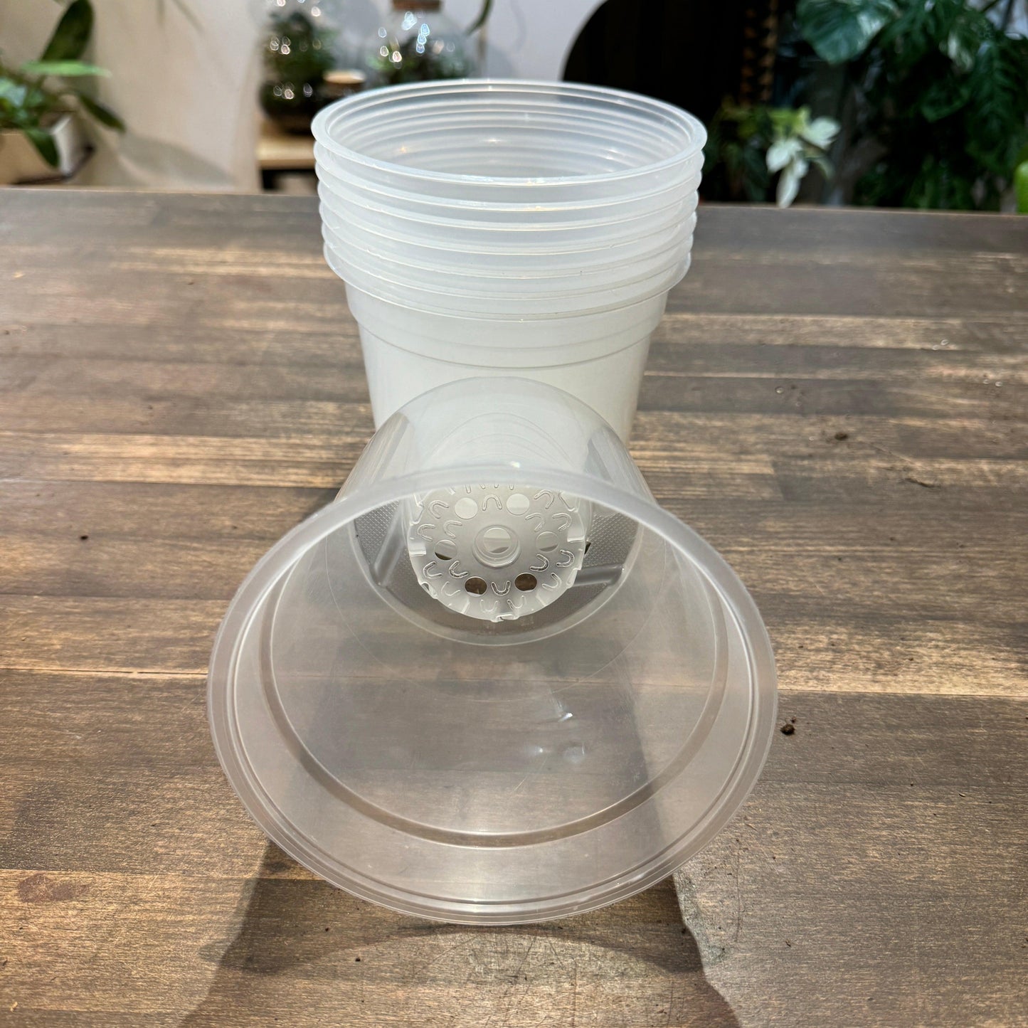 Pot plastique transparent (4 tailles)