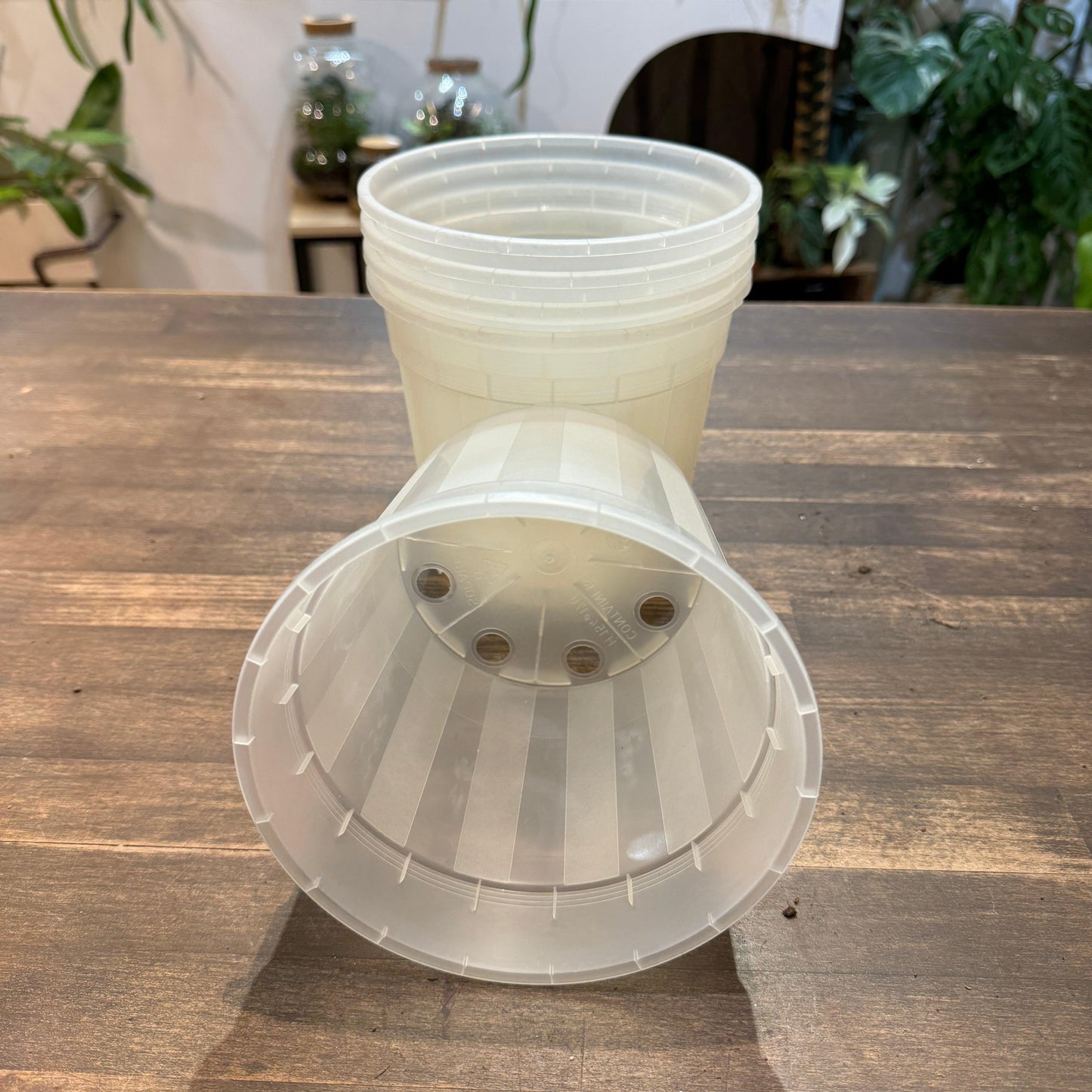 Pot plastique transparent (4 tailles)