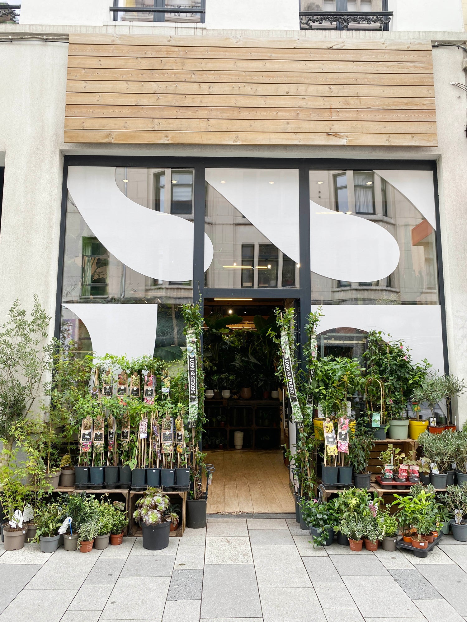 SSLC - Sous la Canopée - Plantshop - Boutique de plantes - Bruxelles - Ixelles - Magasin de plantes